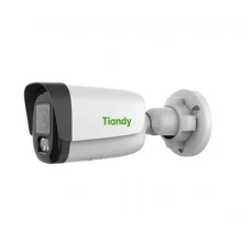 TIANDY TC-C32QNI3/E/Y/4MM-V5.0 IP-камера