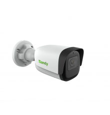 TIANDY TC-C32WN I5/E/Y/2.8MM/V4.1 IP-камера