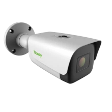 TIANDY TC-C38TS I8/A/E/Y/M/H/2.7-13.5MM/V4.0 IP-камера